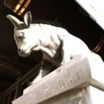 Zoran Perić investor activity on DE:NVD