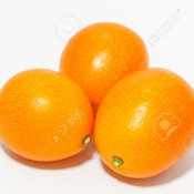 Kumquat Research