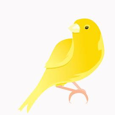 Canary Cash