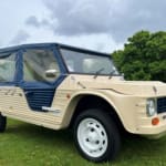 Laurent investor activity on ACMR