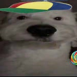 RZ investor activity on RL